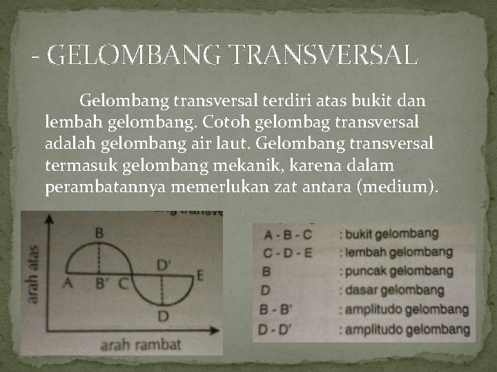 - GELOMBANG TRANSVERSAL Gelombang transversal terdiri atas bukit dan lembah gelombang. Cotoh gelombag transversal