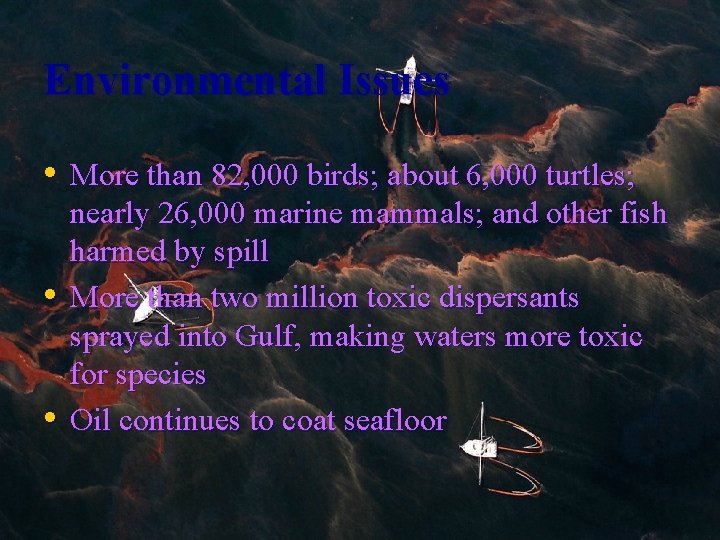 Environmental Issues • More than 82, 000 birds; about 6, 000 turtles; • •