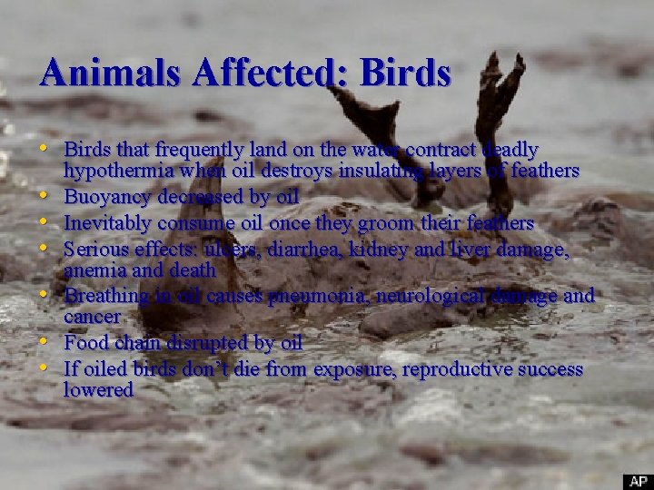Animals Affected: Birds • Birds that frequently land on the water contract deadly •