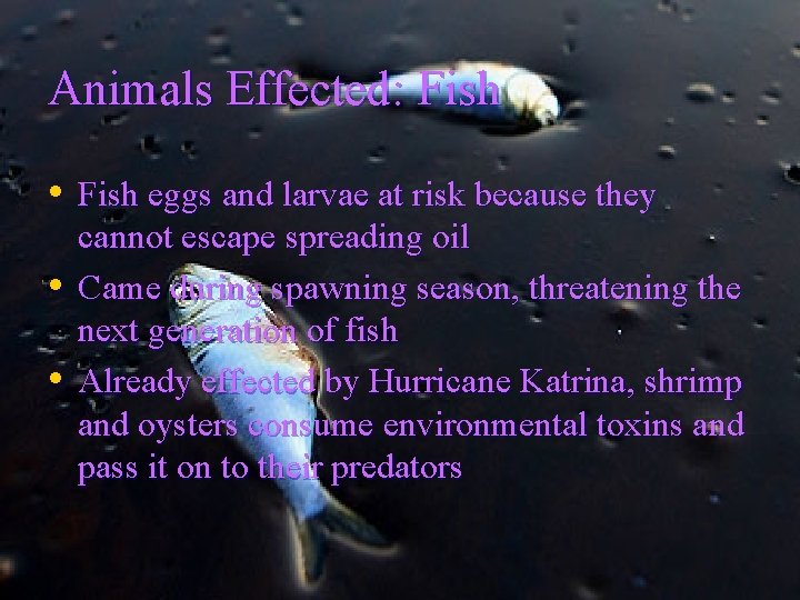 Animals Effected: Fish • Fish eggs and larvae at risk because they • •