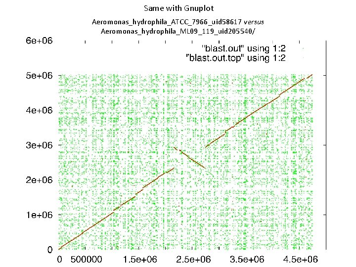 Same with Gnuplot Aeromonas_hydrophila_ATCC_7966_uid 58617 versus Aeromonas_hydrophila_ML 09_119_uid 205540/ 