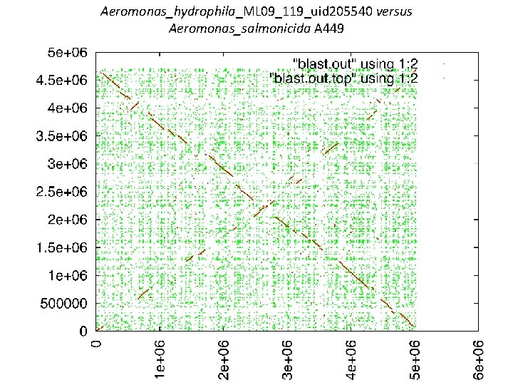 Aeromonas_hydrophila_ML 09_119_uid 205540 versus Aeromonas_salmonicida A 449 