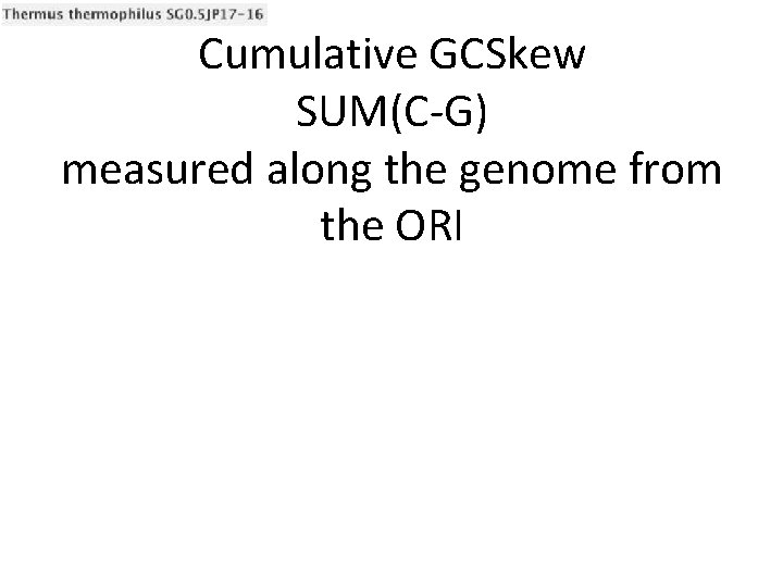 Cumulative GCSkew SUM(C-G) measured along the genome from the ORI 