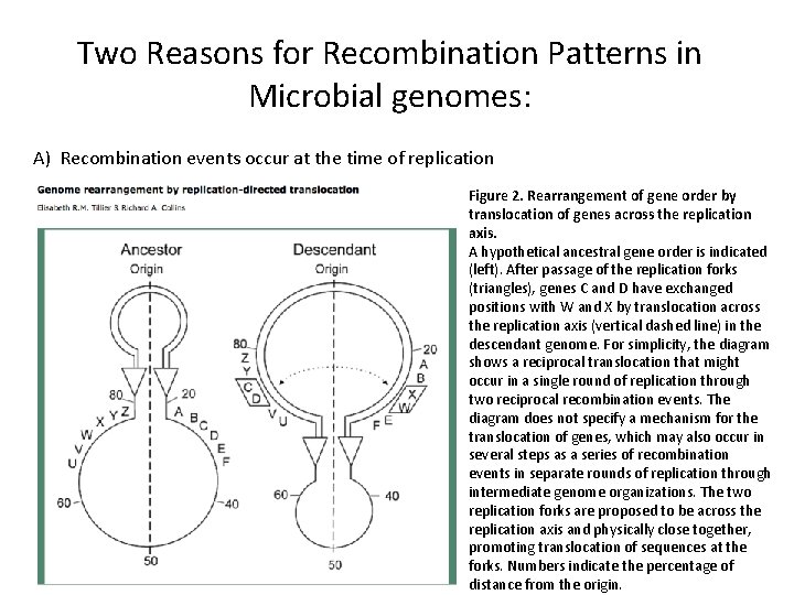 Two Reasons for Recombination Patterns in Microbial genomes: A) Recombination events occur at the