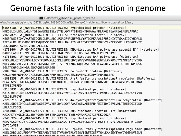 Genome fasta file with location in genome 