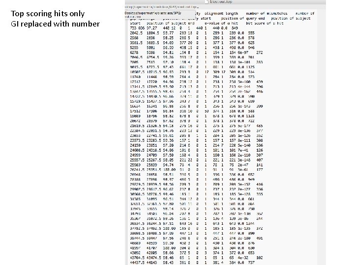 Top scoring hits only GI replaced with number 