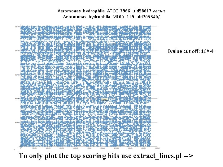 Aeromonas_hydrophila_ATCC_7966_uid 58617 versus Aeromonas_hydrophila_ML 09_119_uid 205540/ Evalue cut off: 10^-4 To only plot the