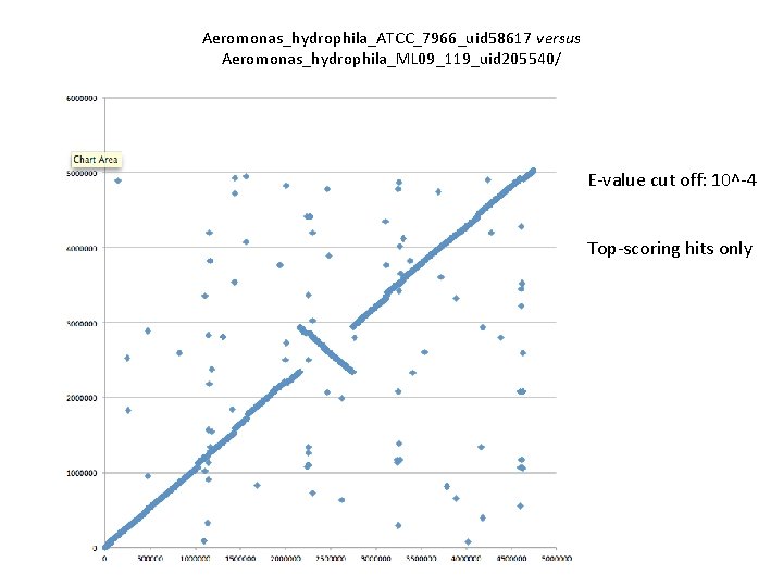 Aeromonas_hydrophila_ATCC_7966_uid 58617 versus Aeromonas_hydrophila_ML 09_119_uid 205540/ E-value cut off: 10^-4 Top-scoring hits only 
