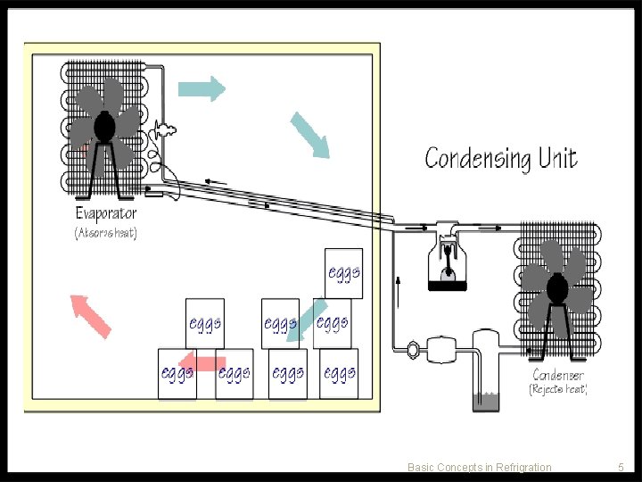 Basic Concepts in Refrigration 5 