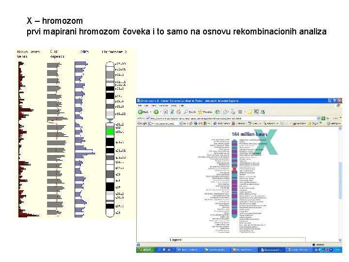 X – hromozom prvi mapirani hromozom čoveka i to samo na osnovu rekombinacionih analiza