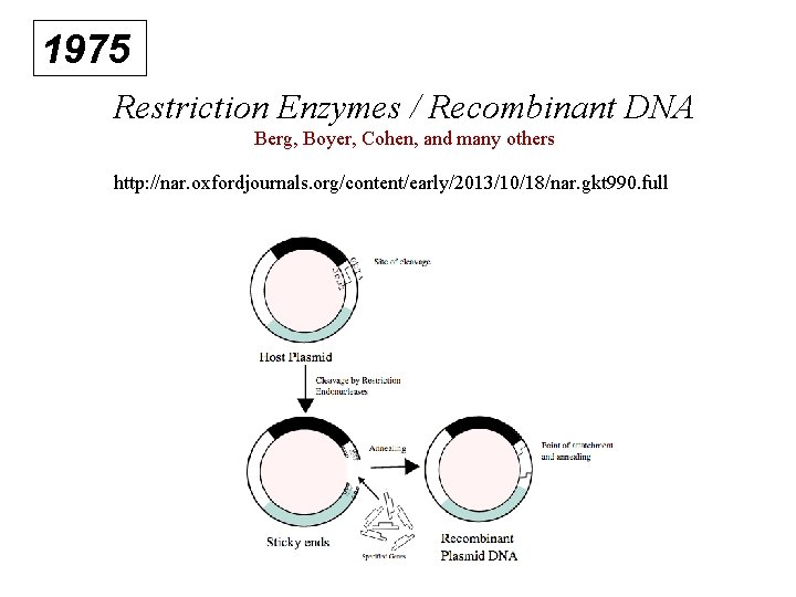 1975 Restriction Enzymes / Recombinant DNA Berg, Boyer, Cohen, and many others http: //nar.