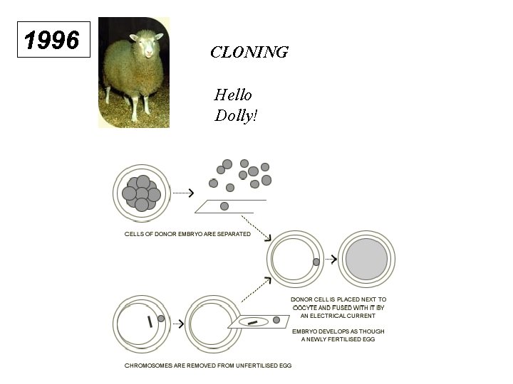 1996 CLONING Hello Dolly! 