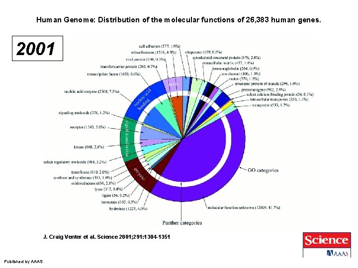 Human Genome: Distribution of the molecular functions of 26, 383 human genes. 2001 J.