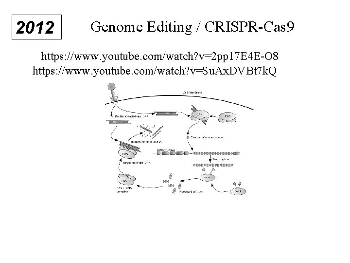 2012 Genome Editing / CRISPR-Cas 9 https: //www. youtube. com/watch? v=2 pp 17 E