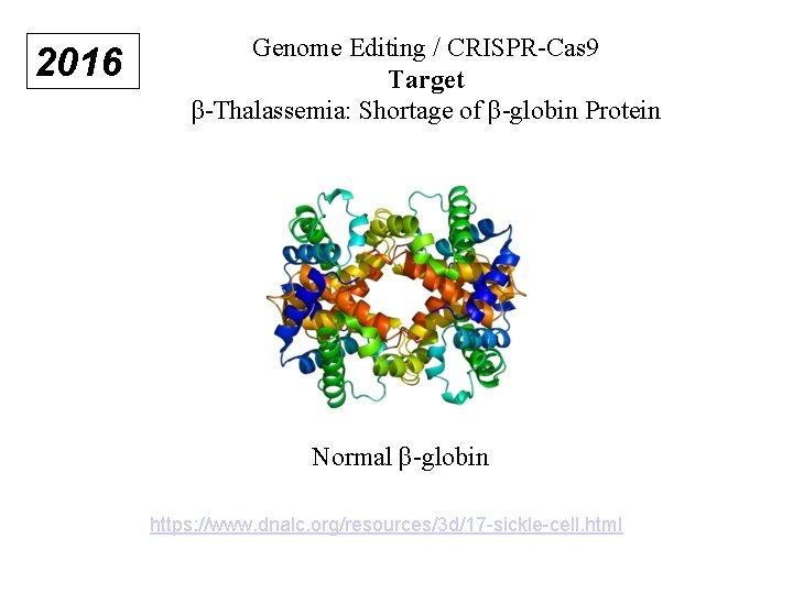 2016 Genome Editing / CRISPR-Cas 9 Target β-Thalassemia: Shortage of β-globin Protein Normal β-globin