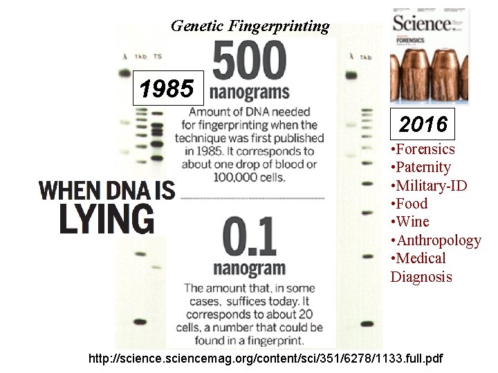 Genetic Fingerprinting 1985 2016 • Forensics • Paternity • Military-ID • Food • Wine