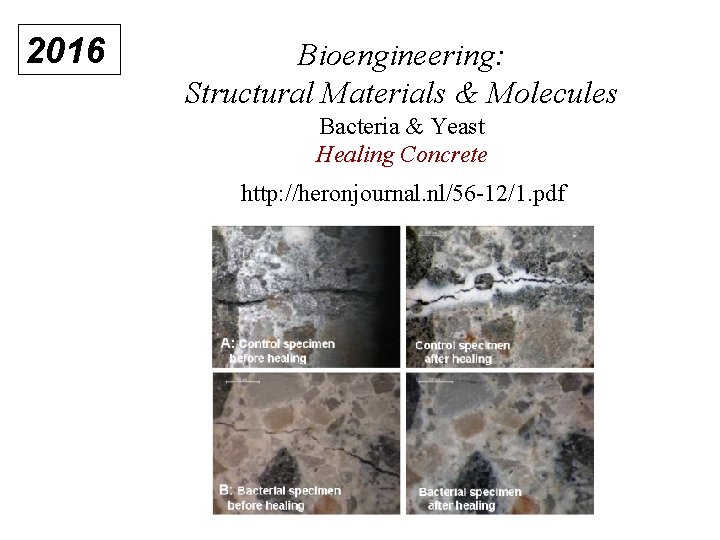 2016 Bioengineering: Structural Materials & Molecules Bacteria & Yeast Healing Concrete http: //heronjournal. nl/56