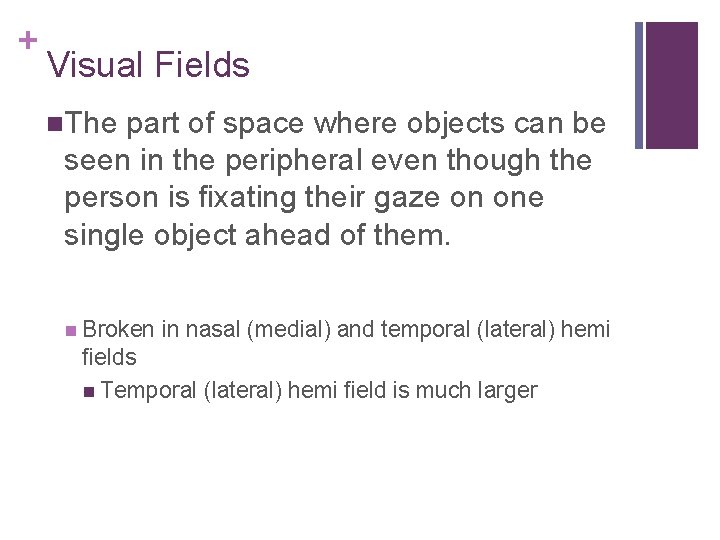 + Visual Fields The part of space where objects can be seen in the