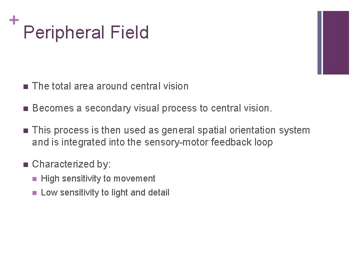 + Peripheral Field The total area around central vision Becomes a secondary visual process