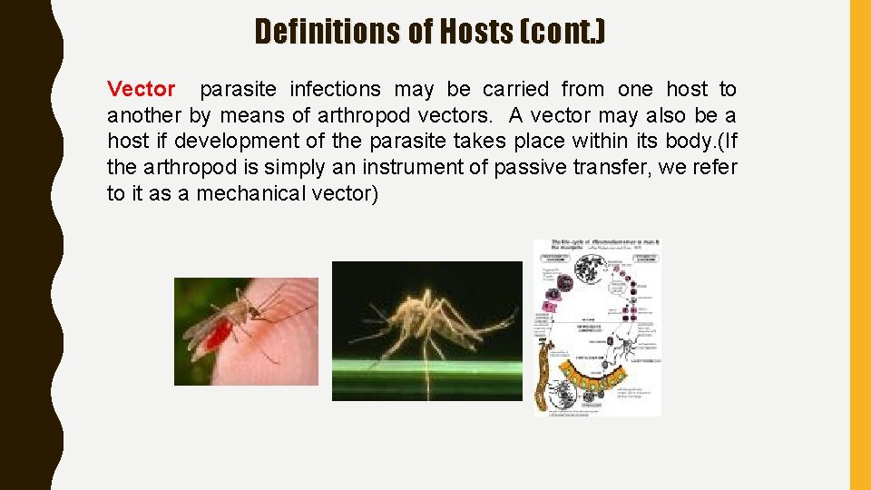 Definitions of Hosts (cont. ) Vector parasite infections may be carried from one host