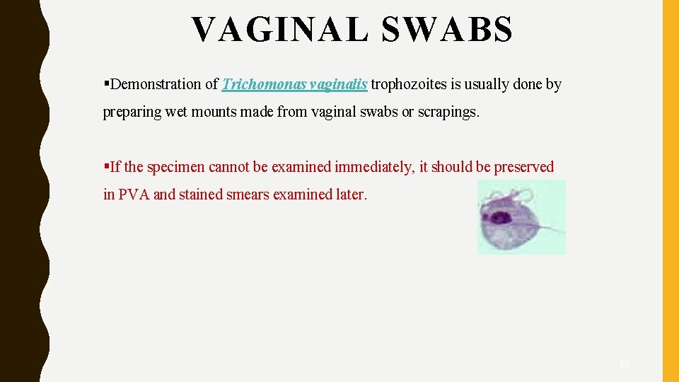 VAGINAL SWABS §Demonstration of Trichomonas vaginalis trophozoites is usually done by preparing wet mounts