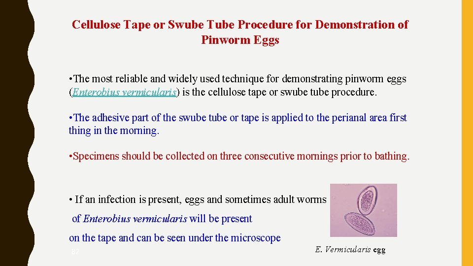 Cellulose Tape or Swube Tube Procedure for Demonstration of Pinworm Eggs • The most