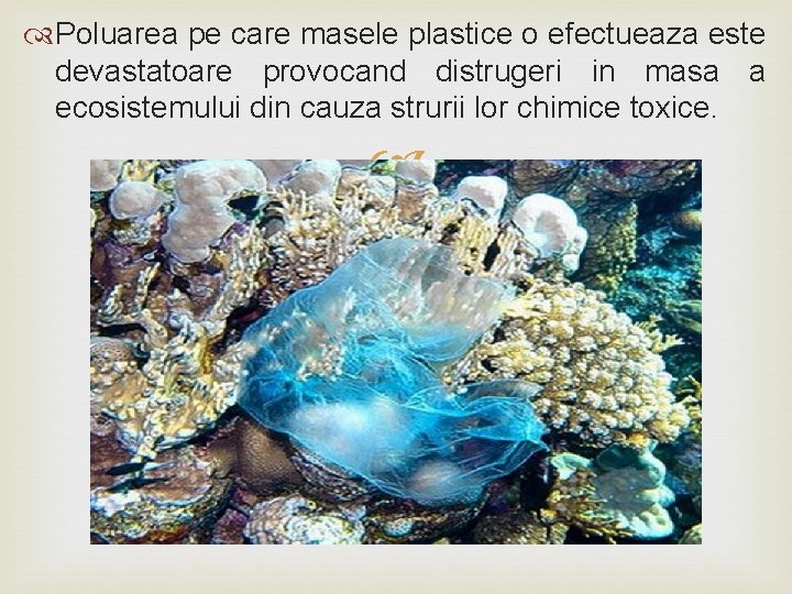  Poluarea pe care masele plastice o efectueaza este devastatoare provocand distrugeri in masa