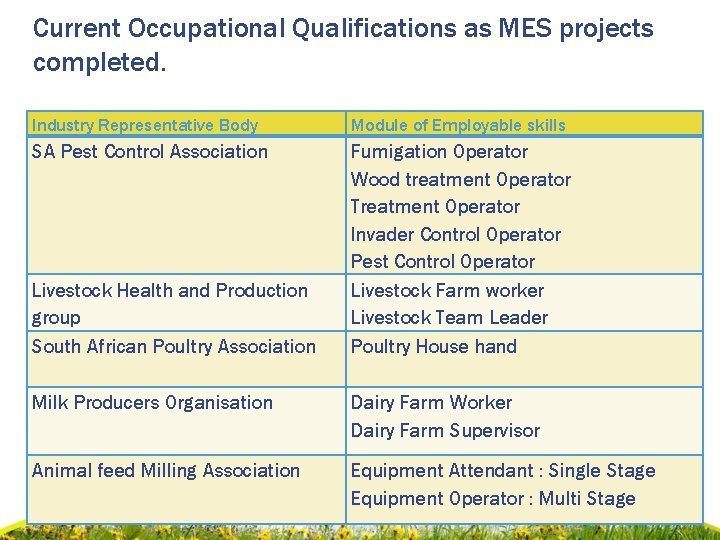 Current Occupational Qualifications as MES projects completed. Industry Representative Body Module of Employable skills