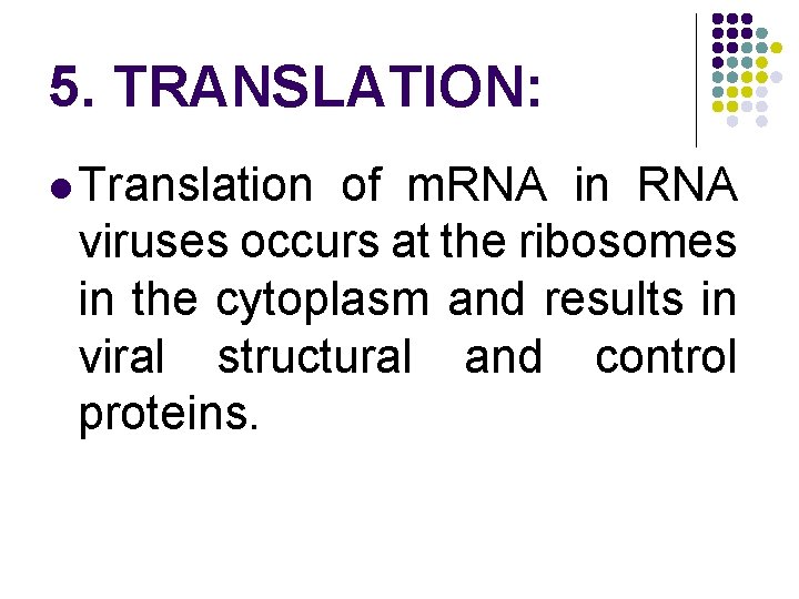 5. TRANSLATION: l Translation of m. RNA in RNA viruses occurs at the ribosomes