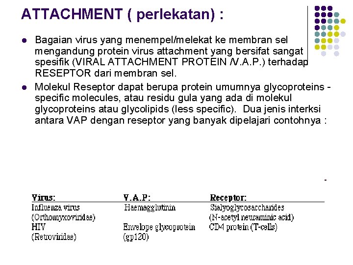 ATTACHMENT ( perlekatan) : l l Bagaian virus yang menempel/melekat ke membran sel mengandung