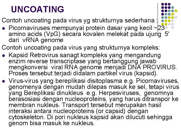 UNCOATING Contoh uncoating pada virus yg strukturnya sederhana : l Picornaviruses mempunyai protein dasar