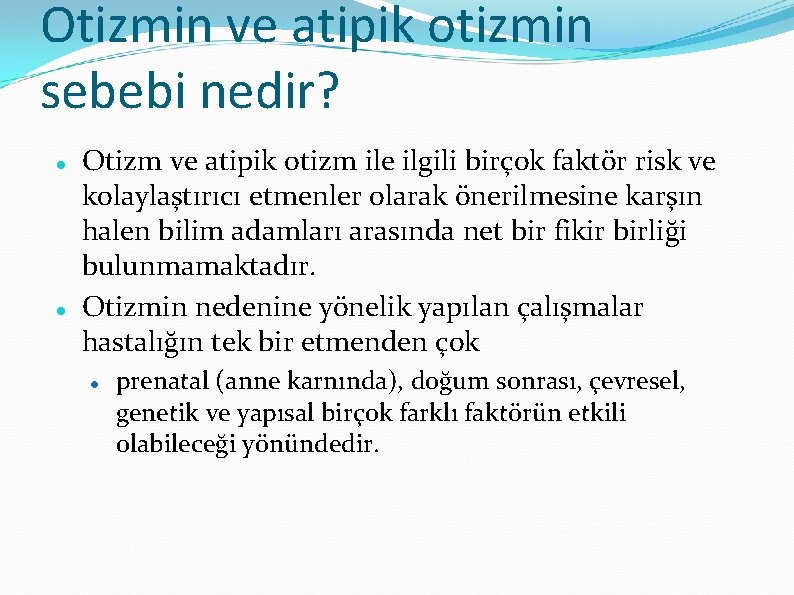 Otizmin ve atipik otizmin sebebi nedir? Otizm ve atipik otizm ile ilgili birçok faktör