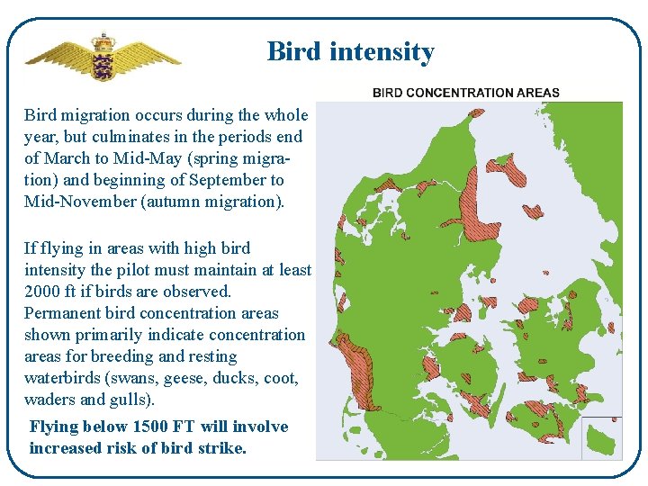 Bird intensity Bird migration occurs during the whole year, but culminates in the periods