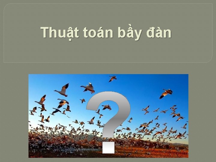 Thuật toán bầy đàn 