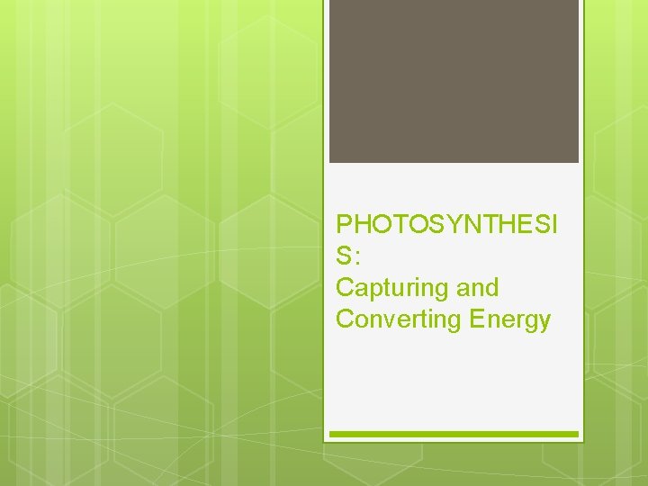 PHOTOSYNTHESI S: Capturing and Converting Energy 