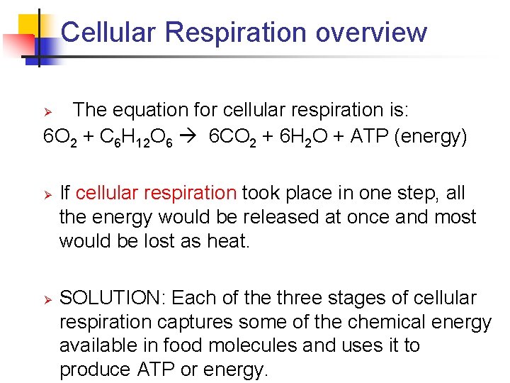 Cellular Respiration overview The equation for cellular respiration is: 6 O 2 + C