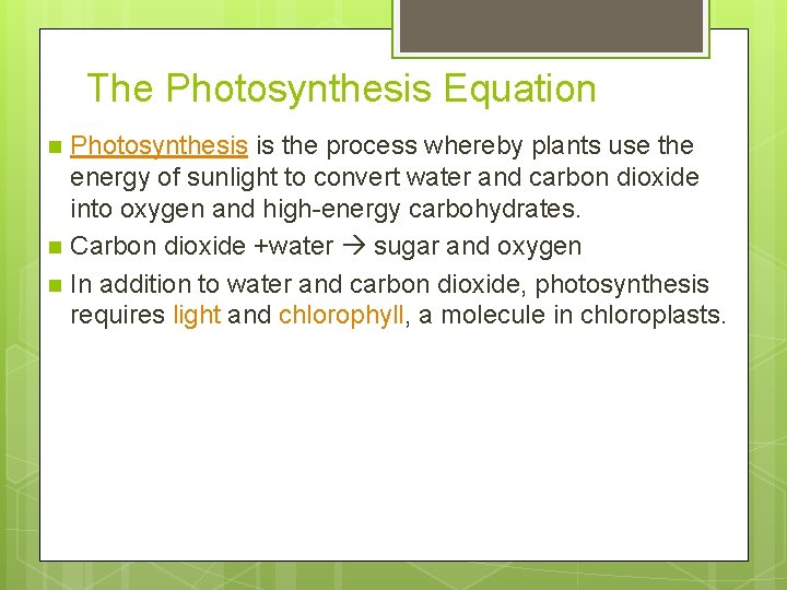 The Photosynthesis Equation n Photosynthesis is the process whereby plants use the energy of