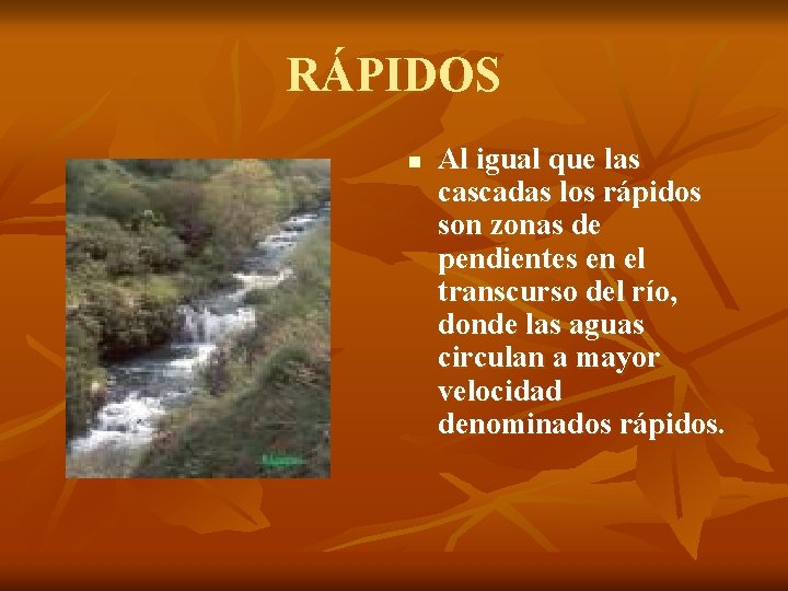 RÁPIDOS n Al igual que las cascadas los rápidos son zonas de pendientes en