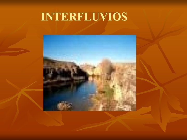 INTERFLUVIOS 