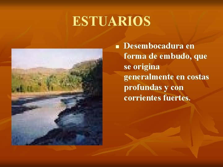 ESTUARIOS n Desembocadura en forma de embudo, que se origina generalmente en costas profundas