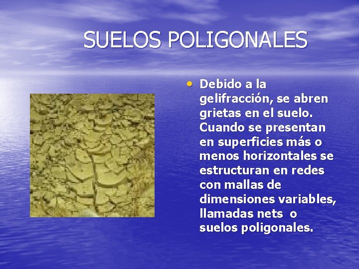 SUELOS POLIGONALES • Debido a la gelifracción, se abren grietas en el suelo. Cuando