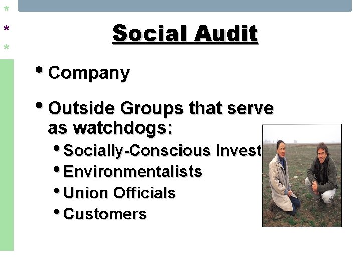 * * * Social Audit • Company • Outside Groups that serve as watchdogs: