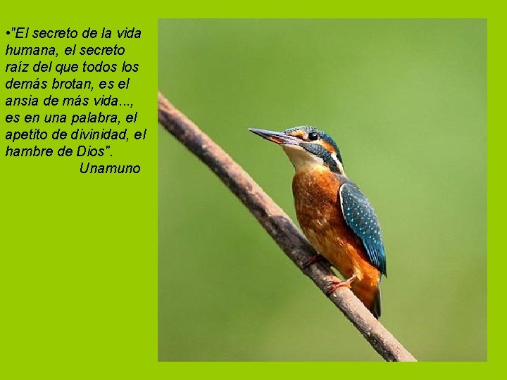  • "El secreto de la vida humana, el secreto raíz del que todos
