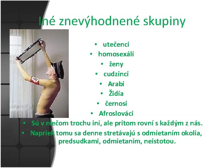 Iné znevýhodnené skupiny • utečenci • homosexáli • ženy • cudzinci • Arabi •