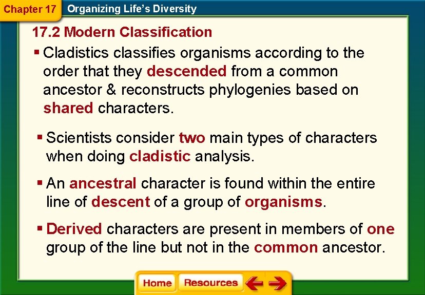 Chapter 17 Organizing Life’s Diversity 17. 2 Modern Classification § Cladistics classifies organisms according