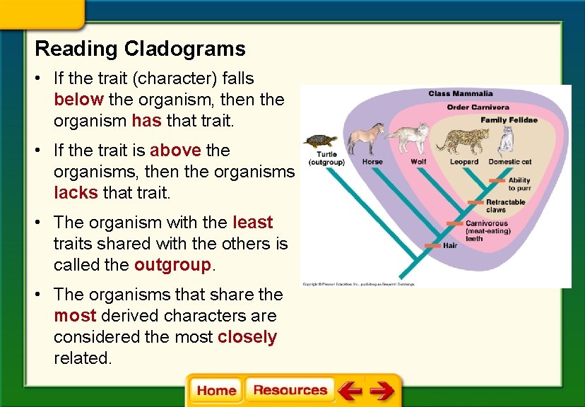 Reading Cladograms • If the trait (character) falls below the organism, then the organism