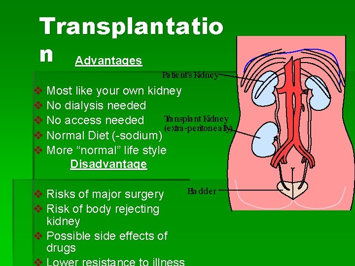 Transplantatio n Advantages Pa tient's Kidney v Most like your own kidney v No