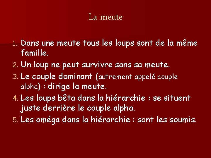 La meute Dans une meute tous les loups sont de la même famille. 2.