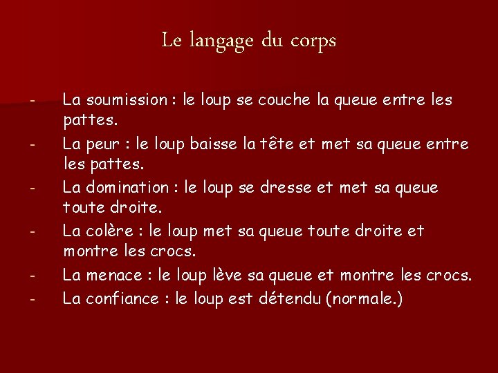 Le langage du corps - La soumission : le loup se couche la queue