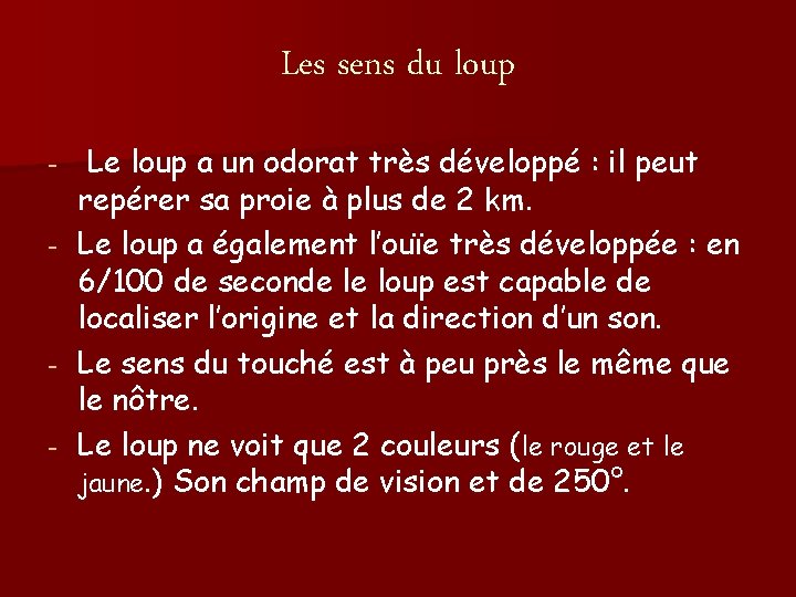 Les sens du loup - - Le loup a un odorat très développé :